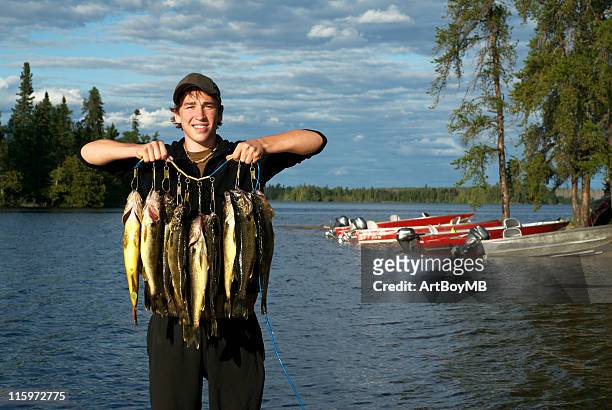 walleye in canada - catch of fish stockfoto's en -beelden