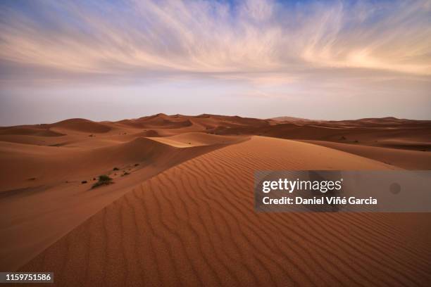 sunrise at erg chebbi sand dunes, morocco, north africa - afrika landschaft stock-fotos und bilder