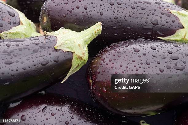 gotas de água sobre aubergines frescos - aubergine - fotografias e filmes do acervo