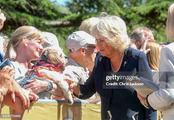 Camilla, Duchess of Cornwall visits Victoria Park and the Patti Pavilion for a celebration of the 50th anniversary of Swansea’s City status, granted...