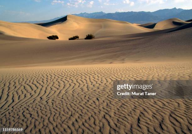 sand dunes in a desert - lone pine california fotografías e imágenes de stock