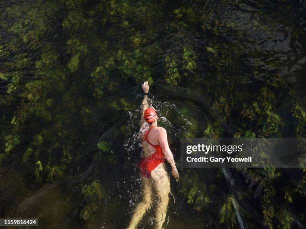 female wild swimmer in river great ouse - woman and river uk stock pictures, royalty-free photos & images