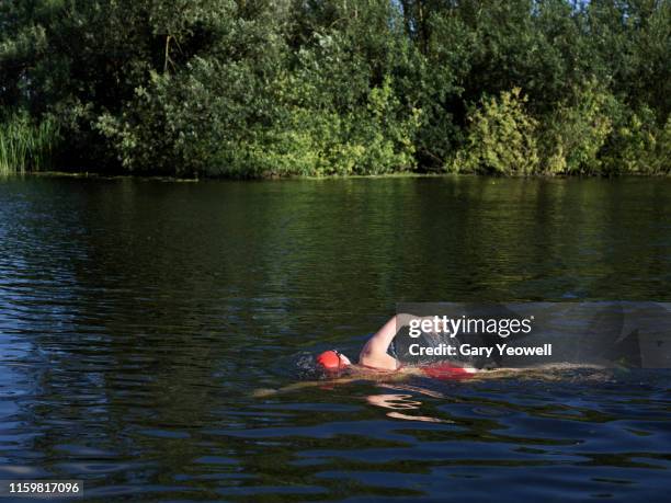 female wild swimmer in river great ouse - ouse river stock-fotos und bilder