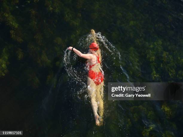 female wild swimmer in river great ouse - agil stock-fotos und bilder