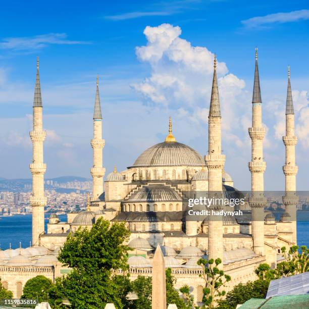 die blaue moschee am späten nachmittag sonne, istanbul, türkei - blue mosque stock-fotos und bilder