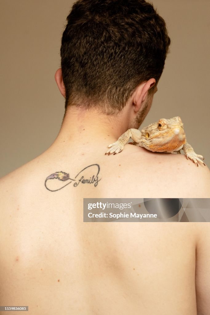 A bearded dragon sitting on a young mans shoulder