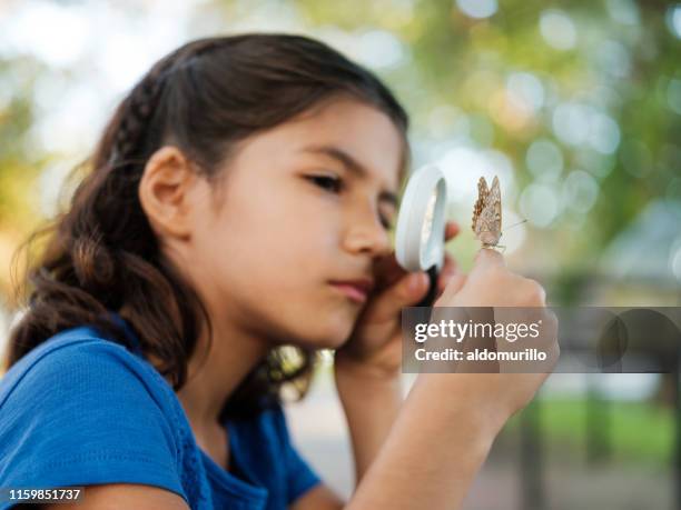 nieuwsgierig meisje observeren van een vlinder door middel van een vergrootglas - cute mexican girl stockfoto's en -beelden