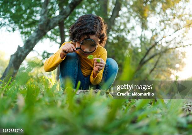 ein kleines mädchen beobachtet die natur durch eine lupe - child magnifying glass stock-fotos und bilder