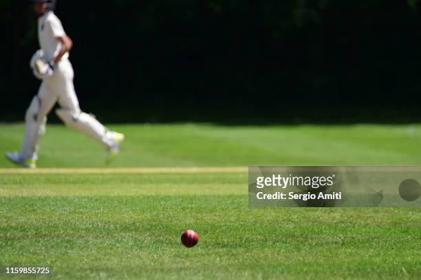 cricket ball with cricket batsman running - críquet fotografías e imágenes de stock