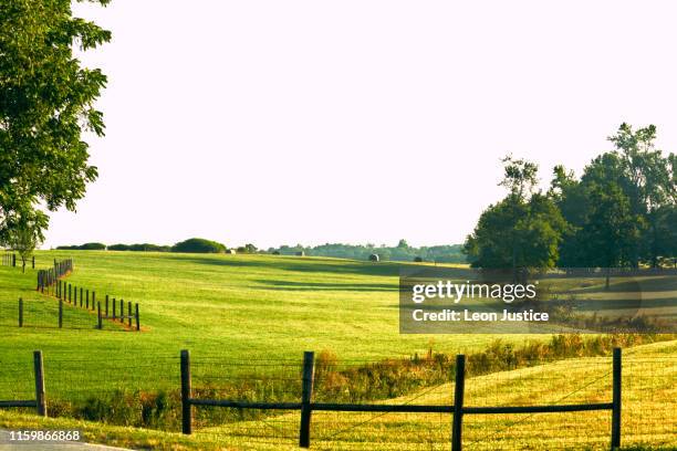 beautiful farm land - durham north carolina stock pictures, royalty-free photos & images