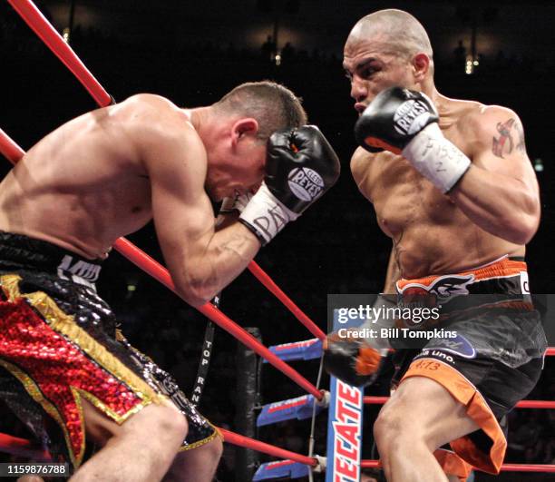February 21: MANDATORY CREDIT Bill Tompkins/Getty Images Miguel Cotto defeats Michael Jennings by 5th-round TKO for the vacant WBO Welterweight Title...