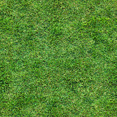Seamless Turf Grass Repeating Lawn Texture