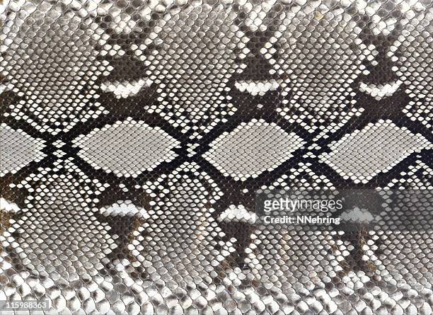snake skin schwarz und weiß-muster - schlangenleder stock-fotos und bilder