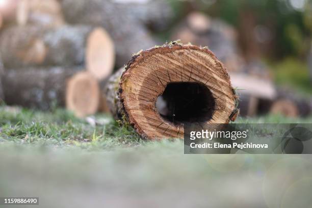 firewood - aushöhlung stock-fotos und bilder