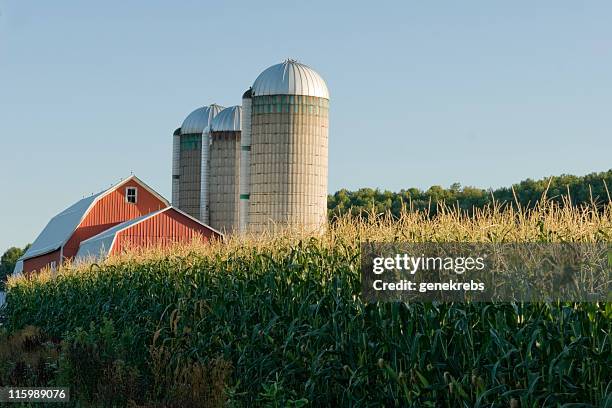 rojo barn en corn field 3 - silo fotografías e imágenes de stock