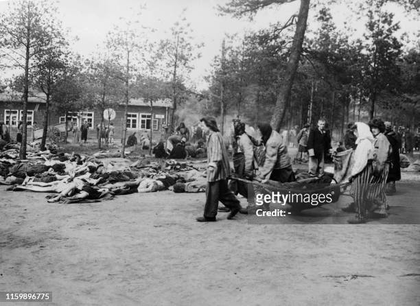 Graphic content / Picture taken on April 1945 at Bergen-Belsen concentration camp showing survivors burying their dead deportation's comrades after...
