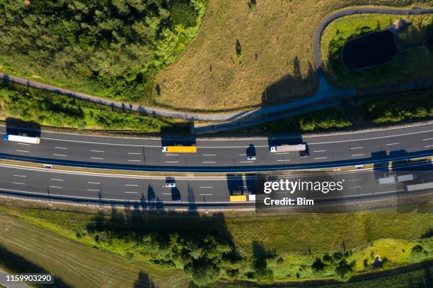 estrada múltipla da pista com semi caminhões de acima - autobahn - fotografias e filmes do acervo