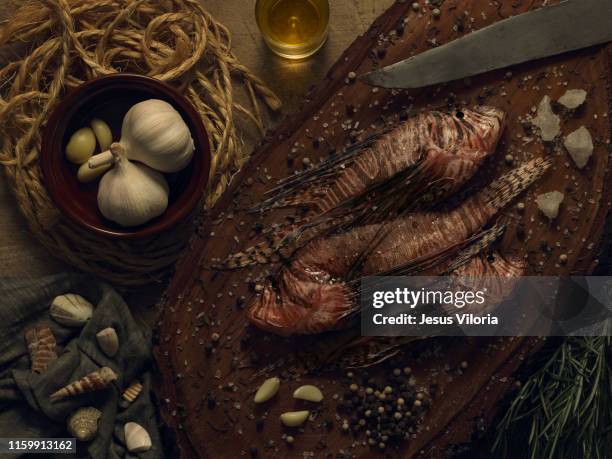 Lion Fish Eat Food High-Res Stock Photo
