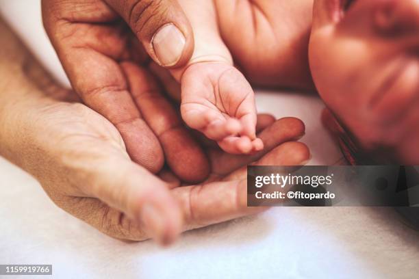 baby mother and father together - artificial insemination stock pictures, royalty-free photos & images