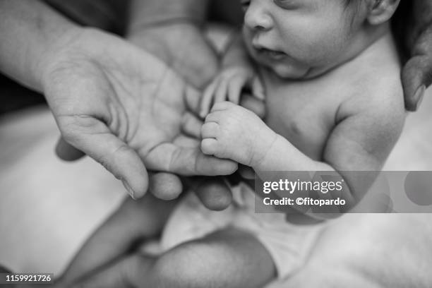 baby mother and father together - artificial insemination stock pictures, royalty-free photos & images
