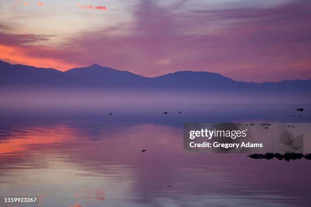 shore of the salton sea at dusk - sonny bono salton sea national wildlife refuge stock pictures, royalty-free photos & images