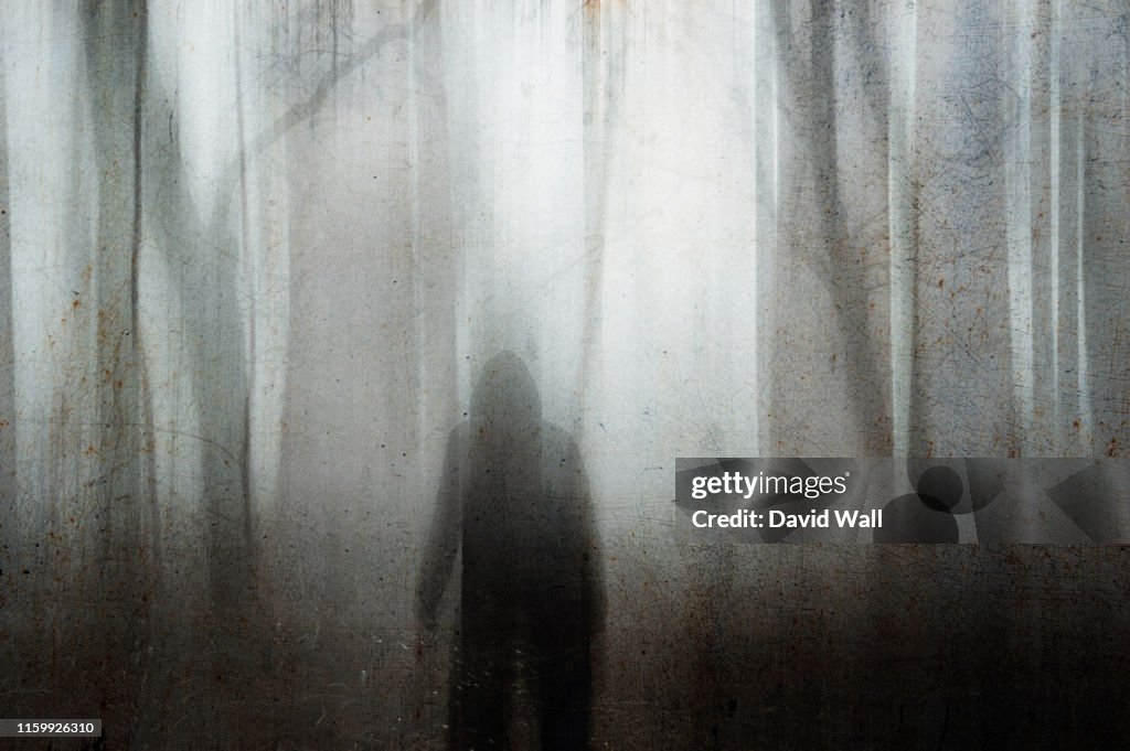 A hooded figure looking out into a spooky forest on a foggy winters day. With a grainy muted blurred abstract edit.