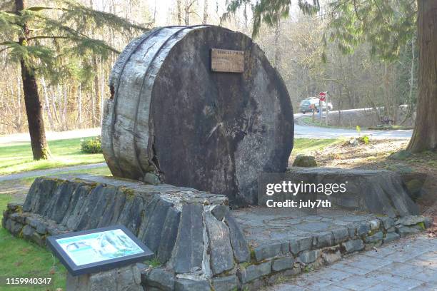 douglas fir bij het openbare de dienstcentrum van de gletsjer in deming washington - mt baker stockfoto's en -beelden