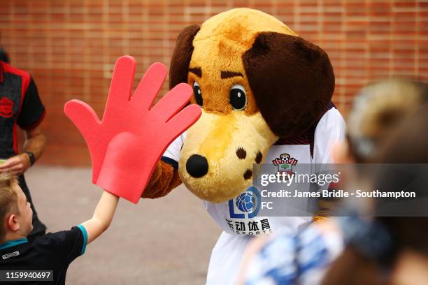 Sammy Saint Mascot wearing the Third kit greets fans ahead of the Pre-Season Friendly match between Southampton FC and FC Köln pictured at St. Mary's...