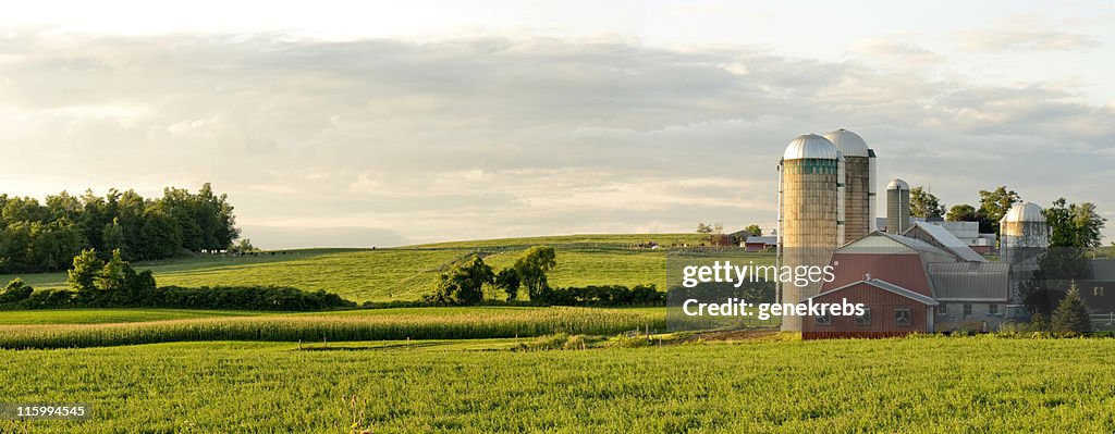 Farms y Barns Panorama