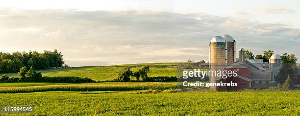 farms and barns panorama - wei zuivel stockfoto's en -beelden