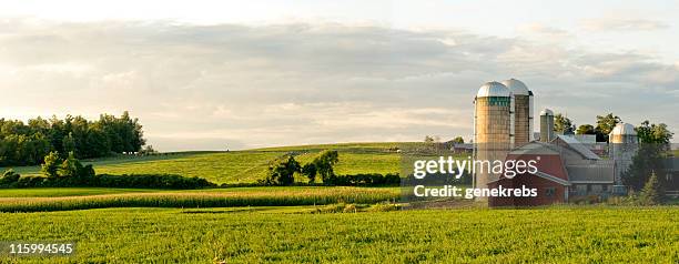 explorações e barns panorama - paisagem cena não urbana imagens e fotografias de stock
