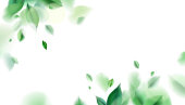 Green spring nature background with leaves