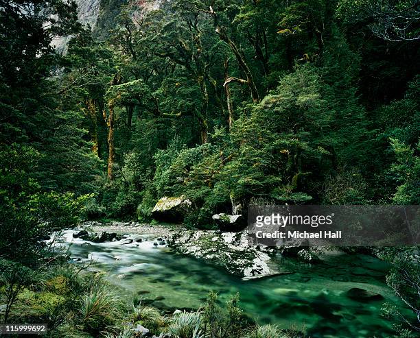 milford track new zealand - new zealand stock pictures, royalty-free photos & images