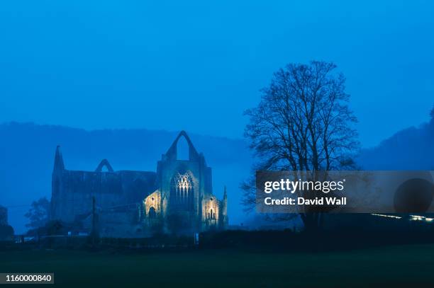 the ruins of tintern abbey lit up on a atmospheric winters evening. wye valley. uk. - cistercian stock pictures, royalty-free photos & images