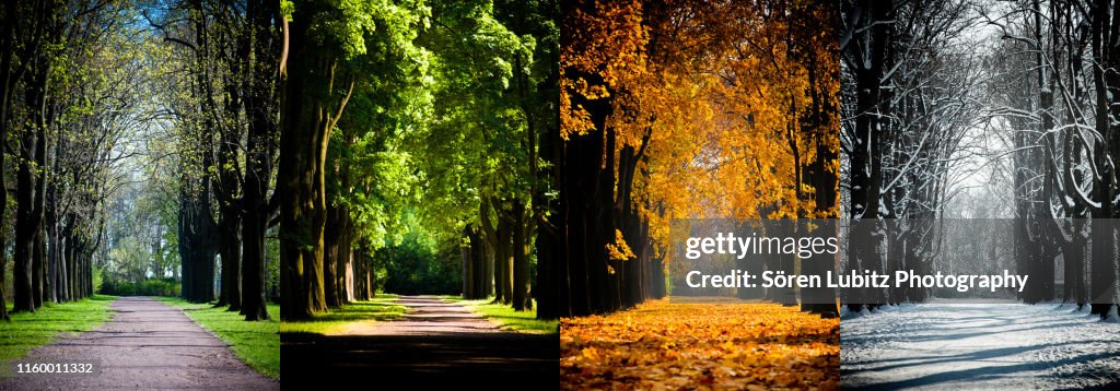 4 Seasons in a Park