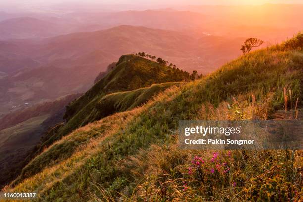 layer of mountains and mist in sunset time at doi phu lang ka - generic location stock pictures, royalty-free photos & images