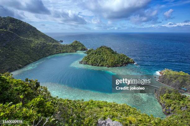 karawapop love shape at misool raja ampat, papua indonesia - papuma beach stock pictures, royalty-free photos & images