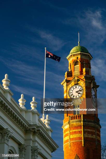 the town clock, launceston with an australian flag. - launceston australien stock-fotos und bilder