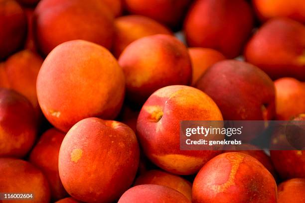 nectarines - nectarine stock pictures, royalty-free photos & images