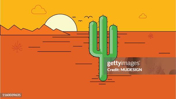 wüstenlandschaft - cactus landscape stock-grafiken, -clipart, -cartoons und -symbole