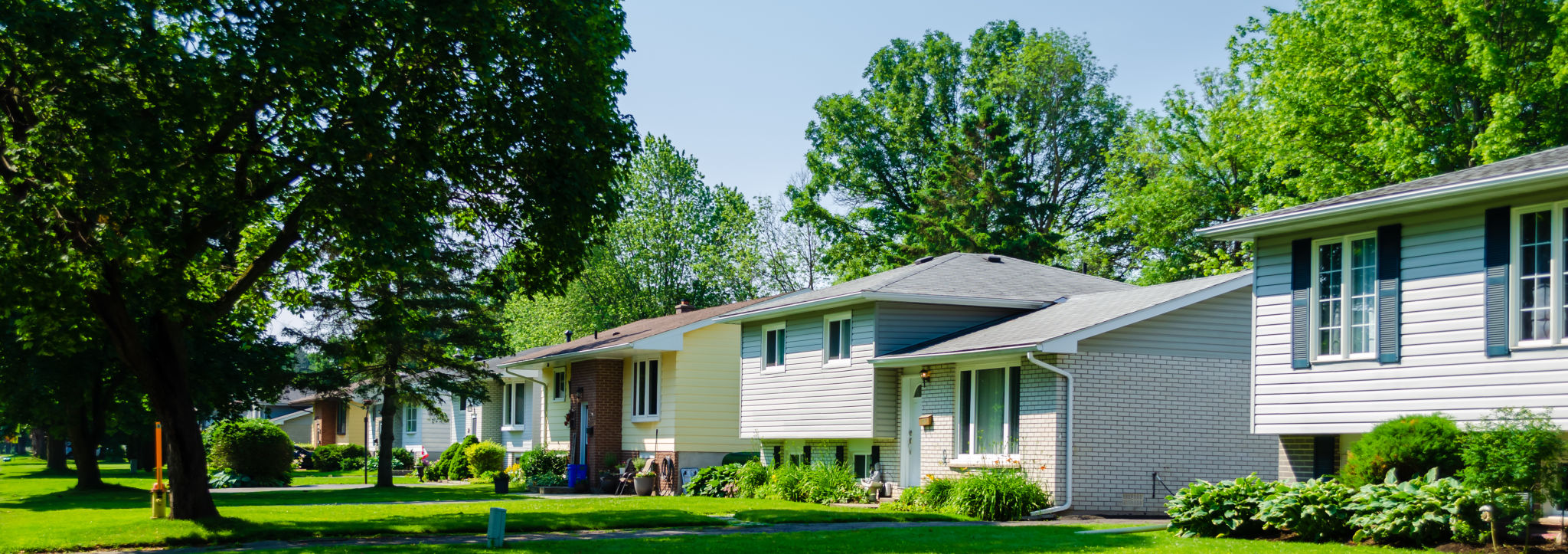 suburban neighborhood