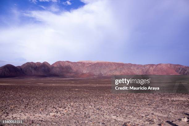 nazca lines flats - nazca stock pictures, royalty-free photos & images