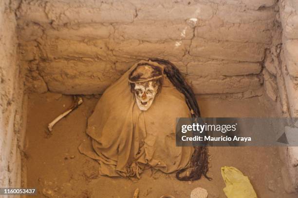 the chauchilla cemetery - huacachina stock pictures, royalty-free photos & images