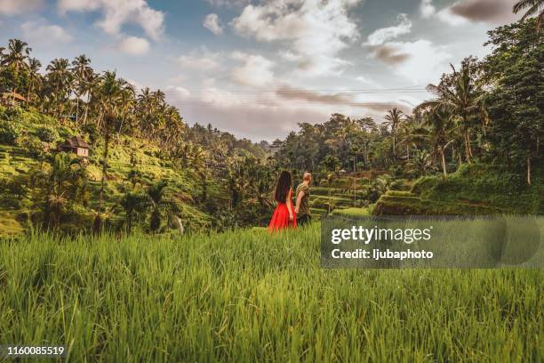 godersi una passeggiata estiva - bali foto e immagini stock