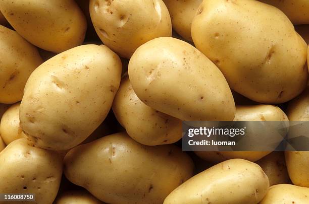 potatoes - a potato stock pictures, royalty-free photos & images