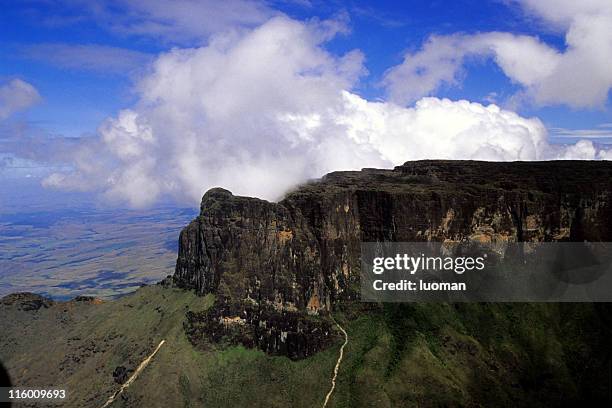 roraima mount in the amazon - mt roraima stock pictures, royalty-free photos & images