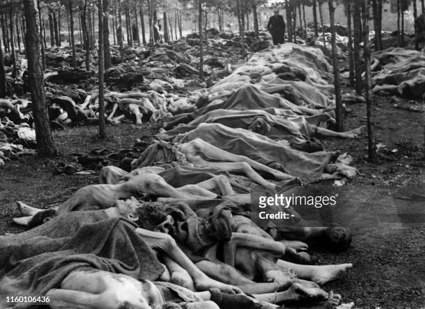 Graphic content / Picture taken on April 1945 in Bergen-Belsen nazi's concentration camp showing corpses of prisoners lined up after the liberation...