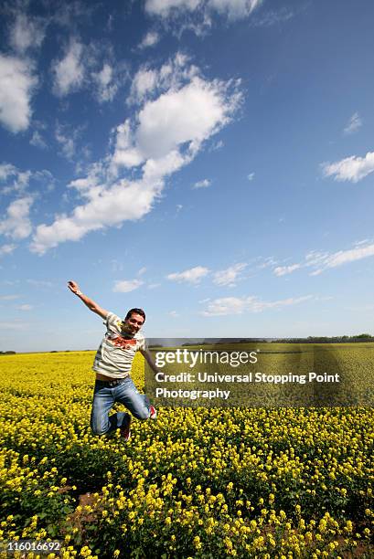 canola glee in saskatchewan - regina saskatchewan 個照片及圖片檔