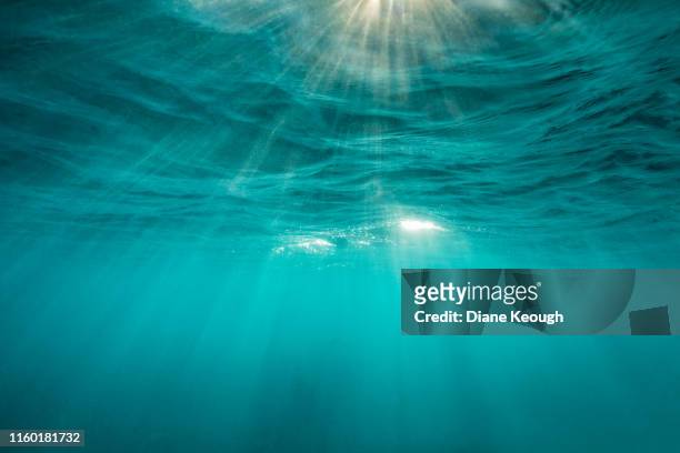 mesmerising sunrays under the surface of the ocean - debajo de fotografías e imágenes de stock