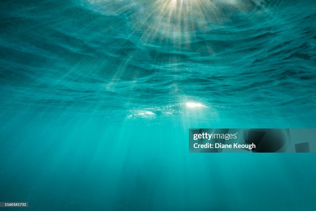 Mesmerising sunrays under the surface of the ocean